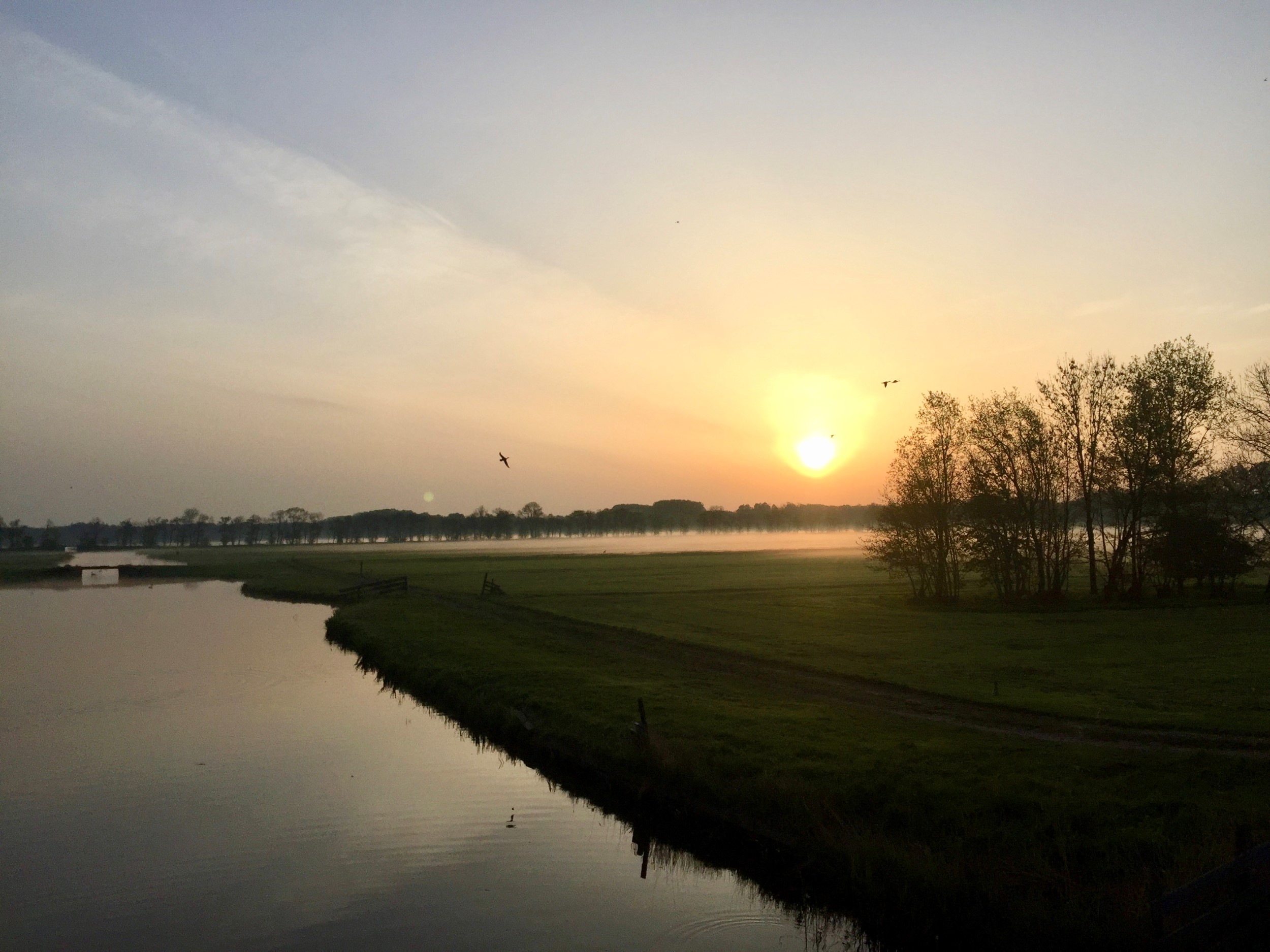 fullsizeoutput 6b76 (Custom)