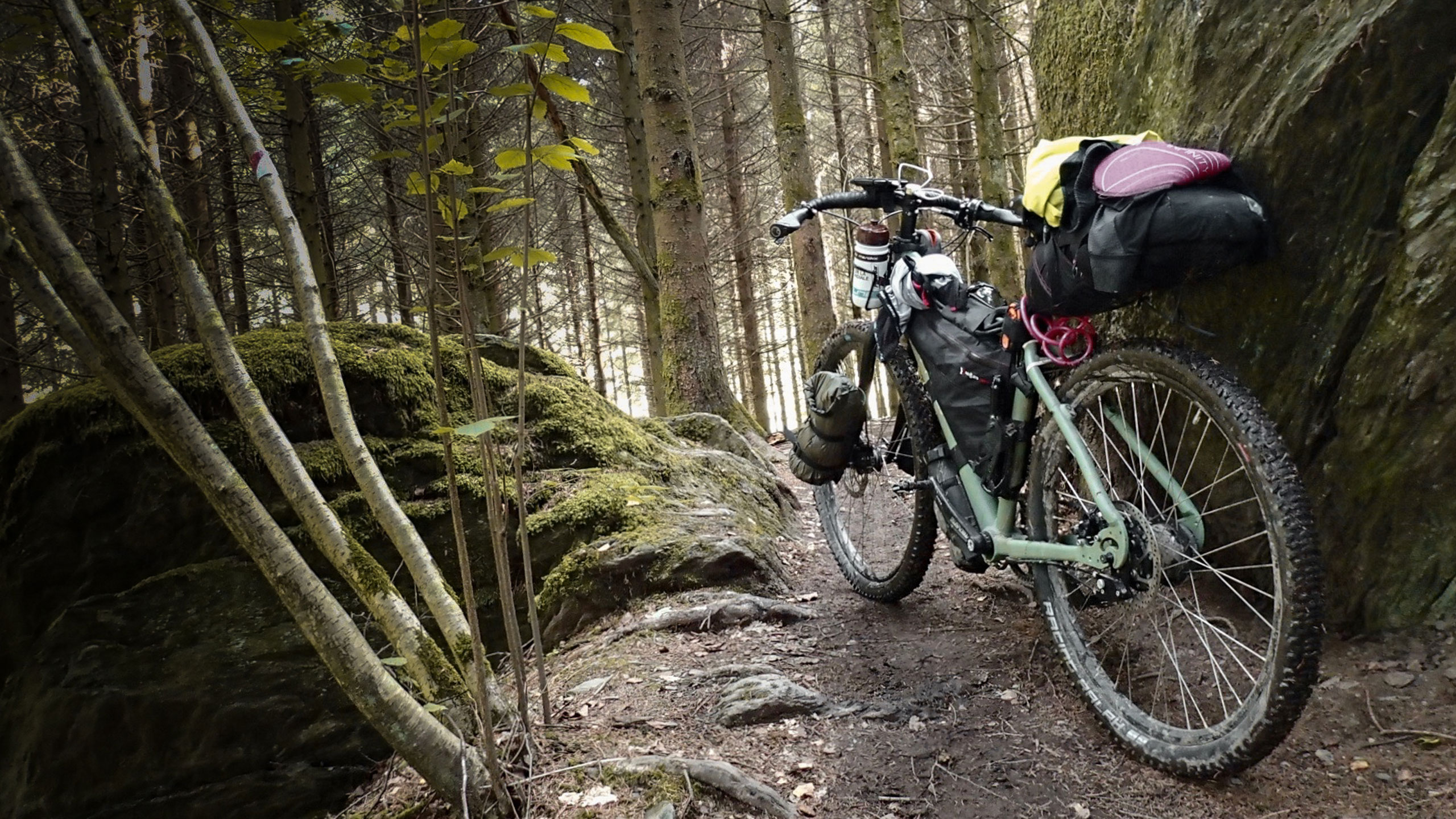 santos mountain bike