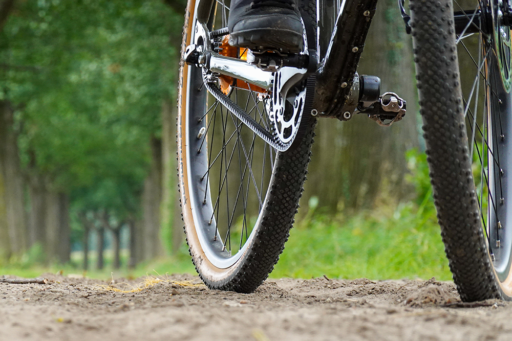 Santos Gates Carbon Belt drive