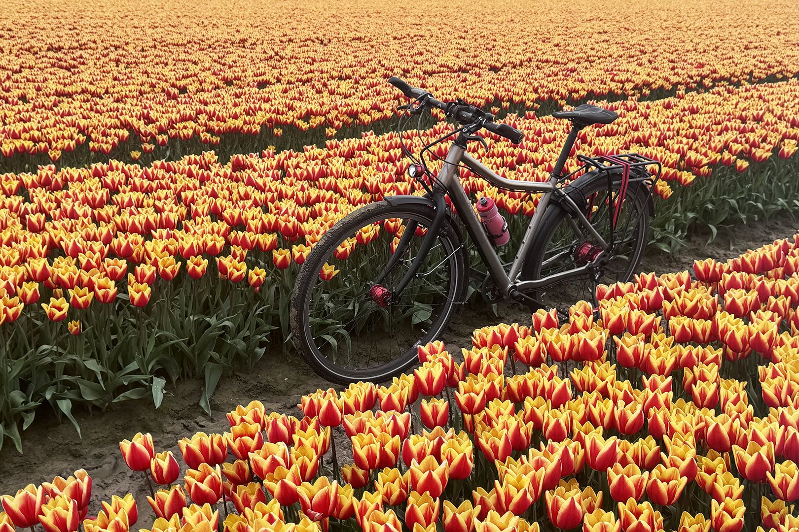 Titanium Travelmaster 3+ reisfietsen